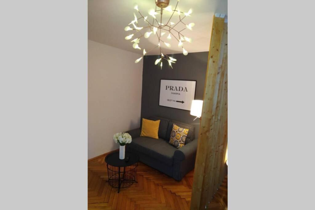 Art & Design Apt - City Center تيميشورا المظهر الخارجي الصورة